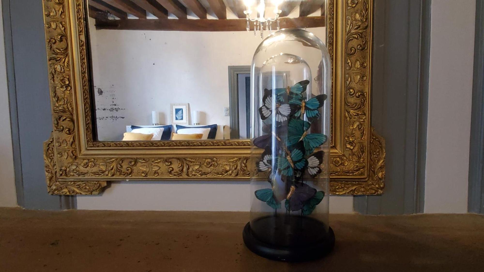 Bed and Breakfast La Rossignolerie - La Familiale Vigneronne Chouzy-sur-Cisse Exterior foto